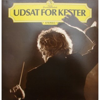 Kester: Udsat For Kester – 1980 – NORGE.                         