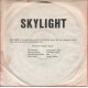 Skylight: Miss Moonlight/We Are A Band – DANMARK.     