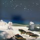 Yes: Drama – 1980 – CANADA.  